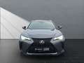 Lexus UX 250h 250 h F SPORT Grau - thumbnail 8