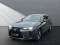 Lexus UX 250h 250 h F SPORT Grau - thumbnail 1