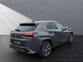 Lexus UX 250h 250 h F SPORT Grau - thumbnail 5