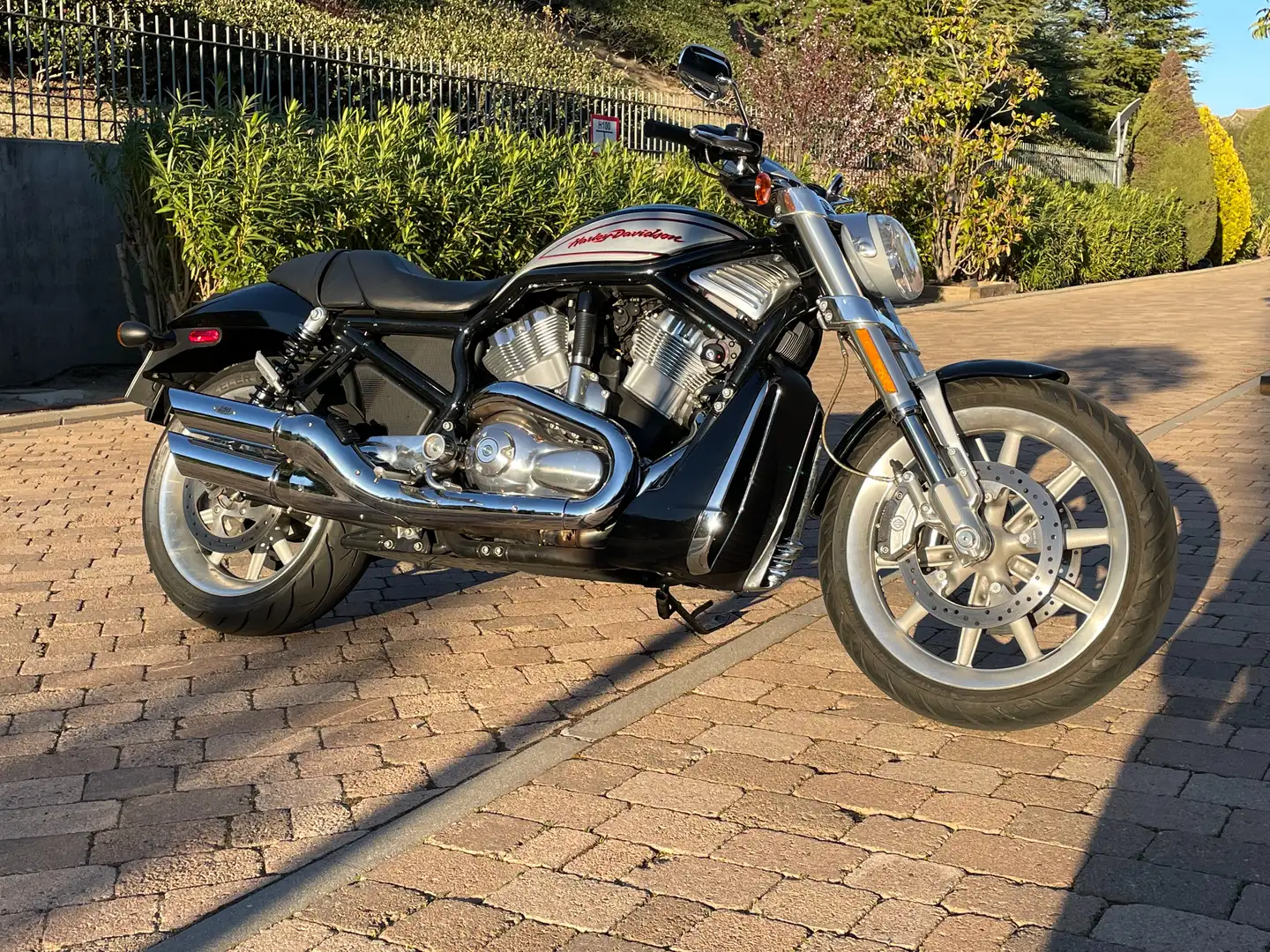 Harley-Davidson VRSC Street Rod Negro - 2