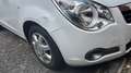 Opel Agila Edition Weiß - thumbnail 1