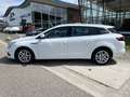 Renault Megane Estate 1.3 TCe 140 PK Business / Dealer onderhoude Wit - thumbnail 9