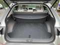 Hyundai IONIQ 5 Balance Vision AWD Beige - thumbnail 5