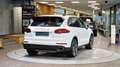 Porsche Cayenne II 3.0 ALLRAD Diesel Aut. *BOSE*Luftfederung*AHK* Weiß - thumbnail 10