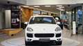 Porsche Cayenne II 3.0 ALLRAD Diesel Aut. *BOSE*Luftfederung*AHK* Weiß - thumbnail 2