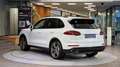 Porsche Cayenne II 3.0 ALLRAD Diesel Aut. *BOSE*Luftfederung*AHK* Weiß - thumbnail 8