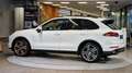 Porsche Cayenne II 3.0 ALLRAD Diesel Aut. *BOSE*Luftfederung*AHK* Weiß - thumbnail 7