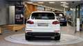 Porsche Cayenne II 3.0 ALLRAD Diesel Aut. *BOSE*Luftfederung*AHK* Weiß - thumbnail 9