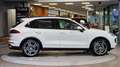 Porsche Cayenne II 3.0 ALLRAD Diesel Aut. *BOSE*Luftfederung*AHK* Weiß - thumbnail 13