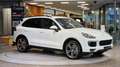 Porsche Cayenne II 3.0 ALLRAD Diesel Aut. *BOSE*Luftfederung*AHK* Weiß - thumbnail 12