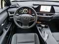 Lexus UX 300e UX 300h F Sport Design Negro - thumbnail 6