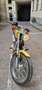Harley-Davidson Sportster 883 Amarillo - thumbnail 19
