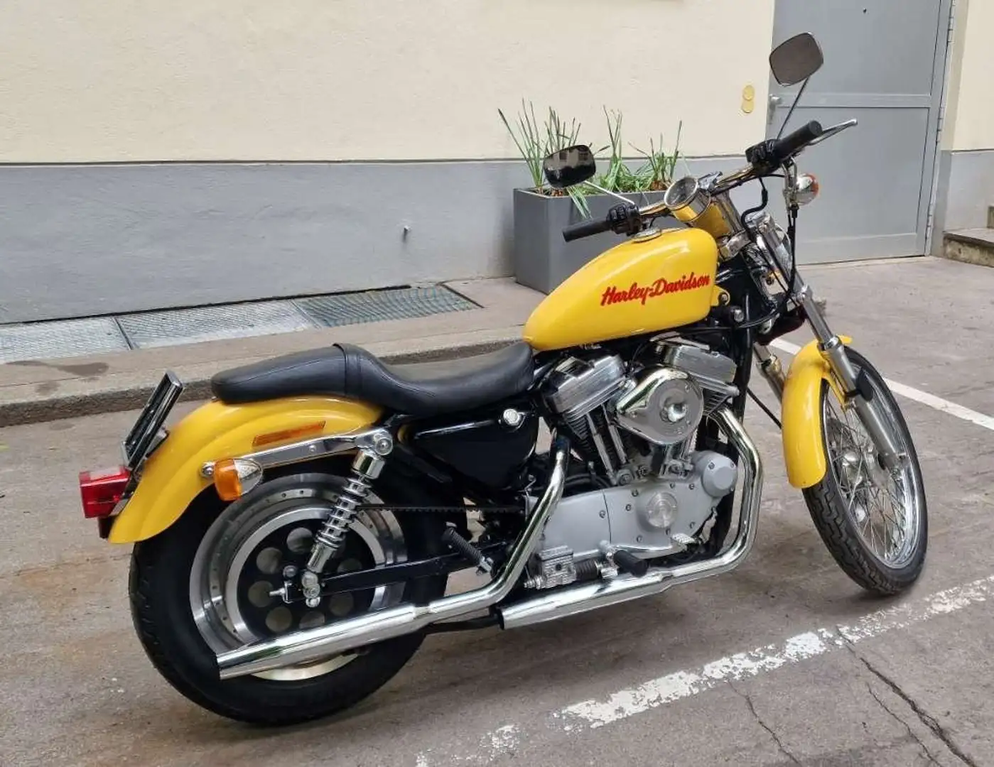 Harley-Davidson Sportster 883 Amarillo - 1