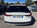 Volvo V90 Cross Country 2.0 b4 Business Pro Line awd auto*full optional* Bianco - thumbnail 5
