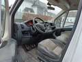 Fiat Ducato Pritsche/Kipper Doppelk. 33 130 L2 Pritsc Weiß - thumbnail 10