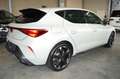 CUPRA Leon 2.0 TDI DYNAMIC|PERFORMANCE|SENNHEISER|AHK Grau - thumbnail 10
