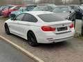 BMW 420 420 i xDrive Sport Line Navi MemorySitz Leder TOP Weiß - thumbnail 21