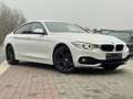BMW 420 420 i xDrive Sport Line Navi MemorySitz Leder TOP Weiß - thumbnail 3
