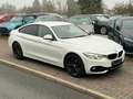 BMW 420 420 i xDrive Sport Line Navi MemorySitz Leder TOP Weiß - thumbnail 36