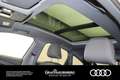 Audi 50 e-tron quattro . Matrix Pano Gri - thumbnail 11