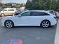 Audi A6 40 TDI quattro s line Sport ACC Kamera Matrix Blanc - thumbnail 8