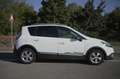 Renault Scenic X-Mod Cross 1.5 dci Energy s&s 110cv - thumbnail 2