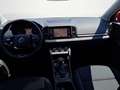 Skoda Karoq 2.0 TDI 4x4 DSG Selection Rot - thumbnail 10