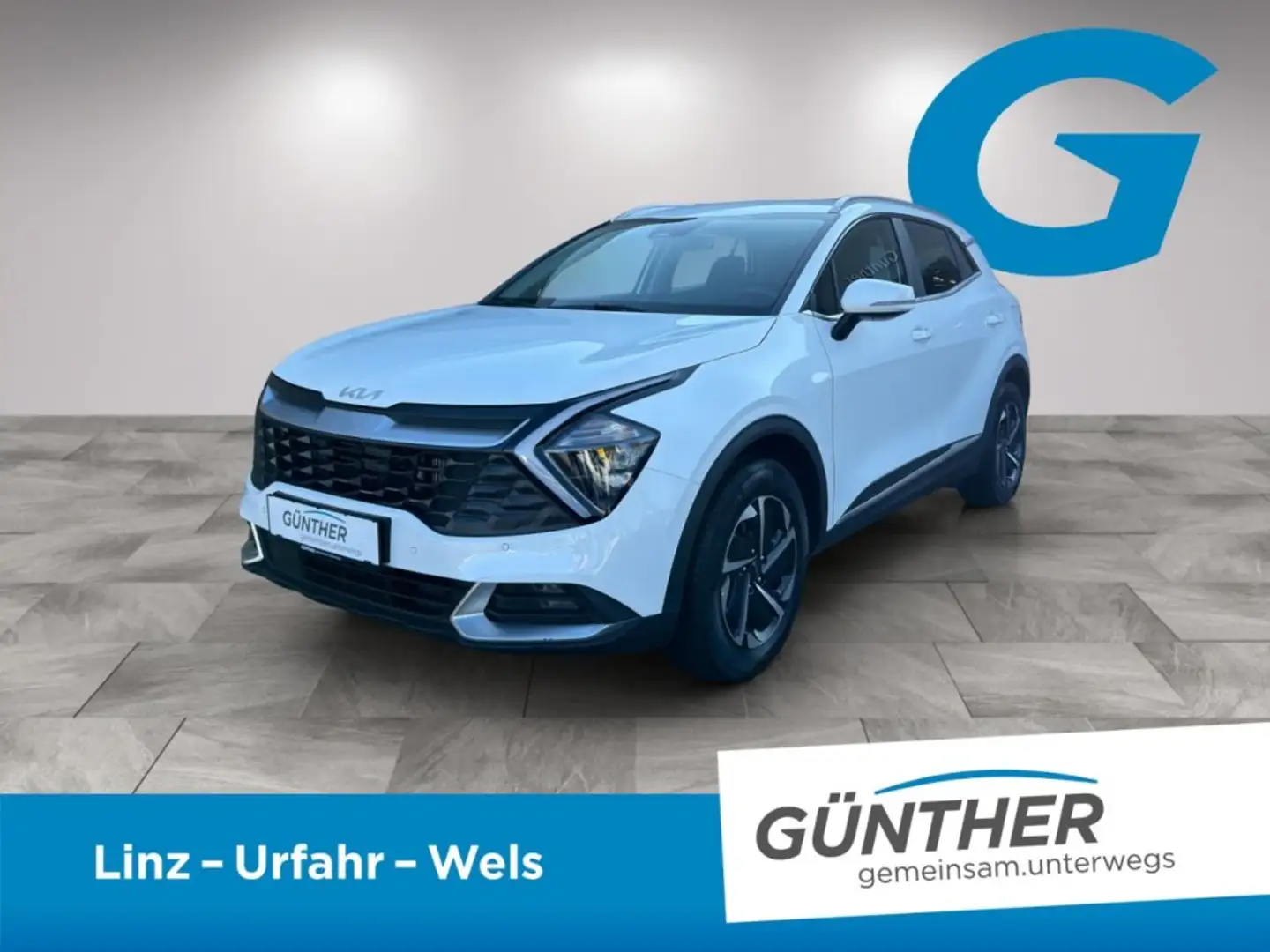 Kia Sportage Silber 1.6 PHEV Weiß - 1