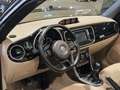Volkswagen Beetle Cabriolet 1.2TSI - 12 Mnd Garantie Noir - thumbnail 2