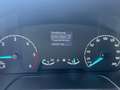 Ford Transit Pritsche 350L2 4X4 AHKStandh.Sitz29Plane Bleu - thumbnail 17