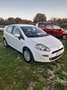 Fiat Punto 1.4 EASY BENZINA/METANO Bianco - thumbnail 2