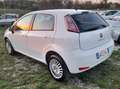 Fiat Punto 1.4 EASY BENZINA/METANO Bianco - thumbnail 4
