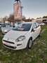 Fiat Punto 1.4 EASY BENZINA/METANO Bianco - thumbnail 5
