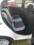 Fiat Punto 1.4 EASY BENZINA/METANO Bianco - thumbnail 9
