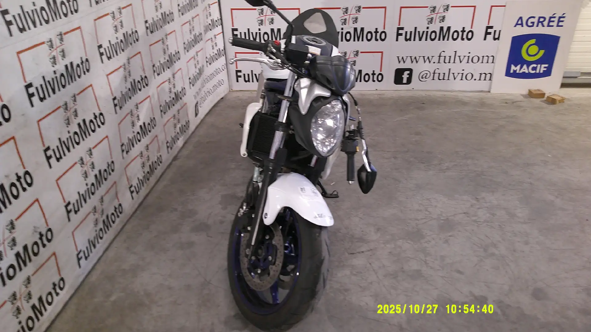 Suzuki Gladius 650 - 2