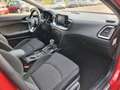 Kia Ceed SW / cee'd SW Sportswagon 1.6 GDI PHEV DynamicPlusLine | Plug-in Червоний - thumbnail 24