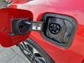 Kia Ceed SW / cee'd SW Sportswagon 1.6 GDI PHEV DynamicPlusLine | Plug-in Червоний - thumbnail 30