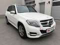 Mercedes-Benz GLK 350 CDI 4MATIC A-Edition Plus Aut. Weiß - thumbnail 1