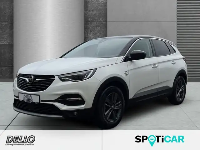 Opel Grandland X 2020 LED Navi Kamera CarPlay DAB Frontscheibe behe