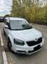 Skoda Fabia 1.6 tdi cr Ambition (style) 105cv - thumbnail 1