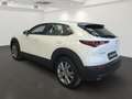 Mazda CX-30 2.5L G140PS 6MT 2WD CENTRE- LINE Weiß - thumbnail 6