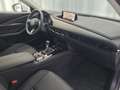 Mazda CX-30 2.5L G140PS 6MT 2WD CENTRE- LINE Alb - thumbnail 13