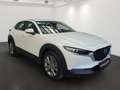 Mazda CX-30 2.5L G140PS 6MT 2WD CENTRE- LINE Alb - thumbnail 3