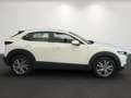 Mazda CX-30 2.5L G140PS 6MT 2WD CENTRE- LINE Weiß - thumbnail 4