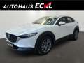 Mazda CX-30 2.5L G140PS 6MT 2WD CENTRE- LINE Alb - thumbnail 1
