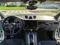 Porsche Macan Macan S 2016 3.0d S 250cv pdk Iperfull WRC AUTO Bianco - thumbnail 14