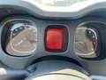Fiat Panda Panda III 2021 1.0 firefly hybrid s Blu/Azzurro - thumbnail 14