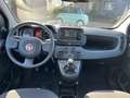 Fiat Panda Panda III 2021 1.0 firefly hybrid s Blu/Azzurro - thumbnail 10