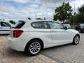 BMW 116 116i 100 kW (136 PS), Schalt. 6-Gang, Heckantrieb Blanc - thumbnail 3
