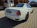 Maserati Quattroporte 4,2 ZF Bílá - thumbnail 4